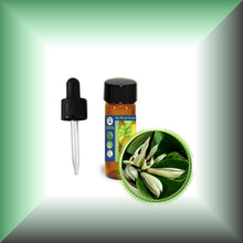 Champaca *White* Absolute Oil (Magnolia Alba)