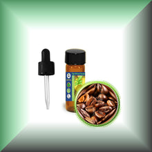 Coffee Essential Oil (Coffea Arabica)