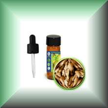 Ginger Root Essential Oil (Zingiber officinale)