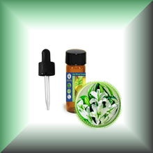 Lily Absolute Oil (Lilium Auratum)
