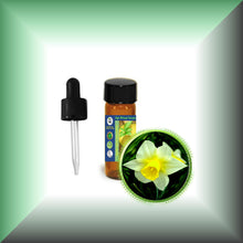 Narcissus Daffodil Essential Oil (Narcissus Poeticus)