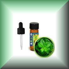 Peppermint Essential Oil (Mentha Piperata)