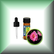 Rose De Mai Absolute Oil (Rosa Centifolia)