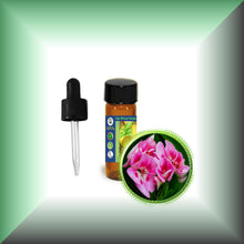 Geranium (Pelargonium Graveolens) Essential Oil