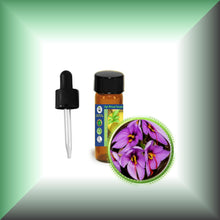 Saffron Essential Oil (Crocus sativus)