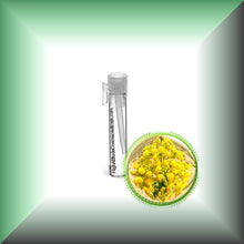 Asafoetida Essential Oil (Ferula Assa-Foetida)