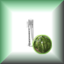 Birch *Black, Sweet* Bark Essential Oil (Betula Lenta)