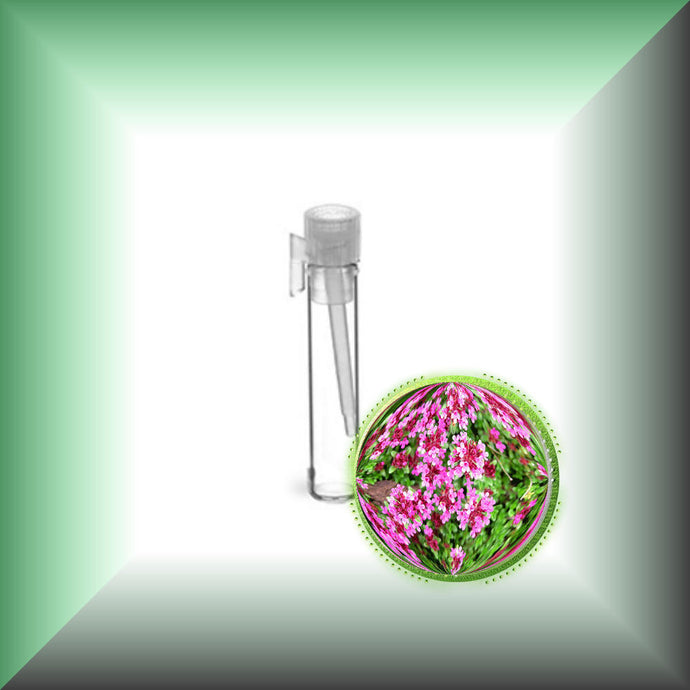 Red Thyme Essential Oil (Thymus Vulgaris)