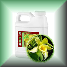 Vanilla (Vanilla Planifolia) Essential Oil