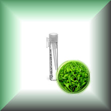 Green Tea Absolute Essential Oil (Camellia Sinensis)