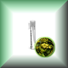 Mimosa Absolute Oil (Acacia Mearnsii)