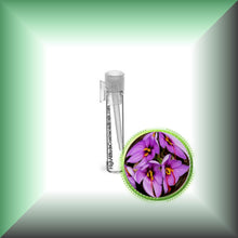 Saffron Essential Oil (Crocus sativus)