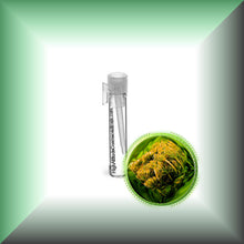 Carrot Seed Essential Oil (Daucus Carota) *Very High Carotol 70%*