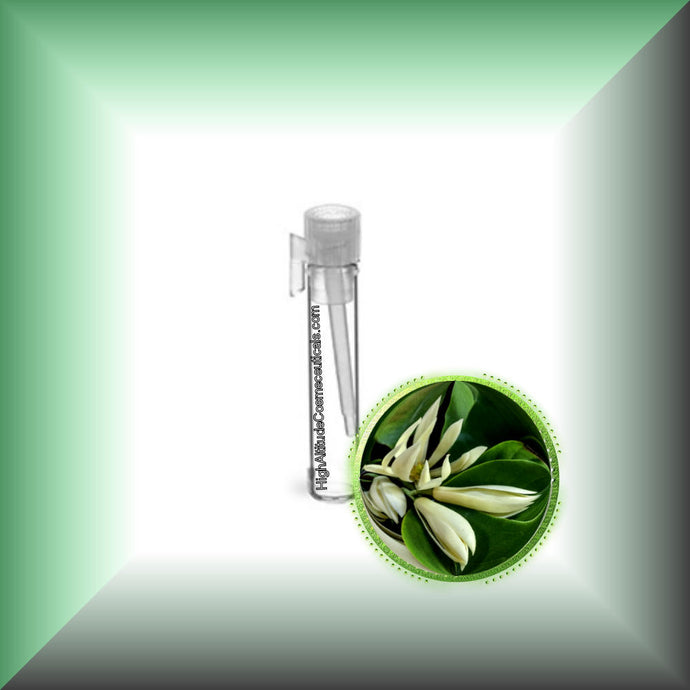 Champaca *White* Absolute Oil (Magnolia Alba)