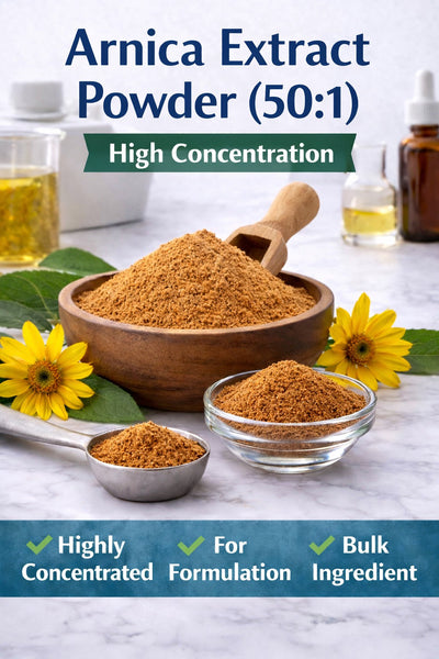 Bulk Arnica Extract Powder (50:1) – High Concentration Botanical Extract for Formulation & Manufacturing