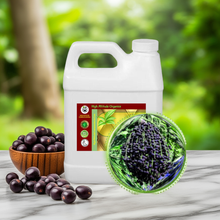 Acai Berry Oil for Face & Body Skin & Hair - Virgin
