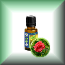 Carnation Absolute Oil (Dianthus Caryophyllus)