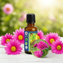 Chrysanthemum Essential Oil (Dendranthema Grandiflorum) in nature 2
