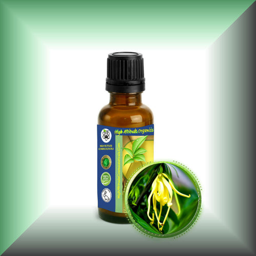 Ylang-Ylang Essential Oil (Cananga Odorata)