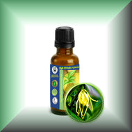 Ylang-Ylang Essential Oil (Cananga Odorata)