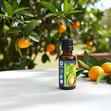 Mandarin Essential Oil (Citrus reticulata) for Skin Care, Aromatherapy & Natural Perfumery