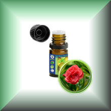 Carnation Absolute Oil (Dianthus Caryophyllus)