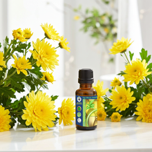 Wild Chrysanthemum Essential Oil (Dendranthema Indicum)