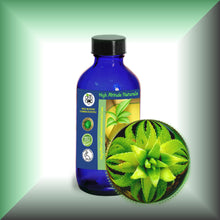 Aloe Vera Essential Oil (Aloe Barbadensis) Steam-Distilled