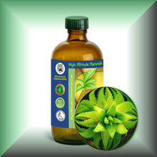 Aloe Vera Essential Oil (Aloe Barbadensis) Steam-Distilled Bulk