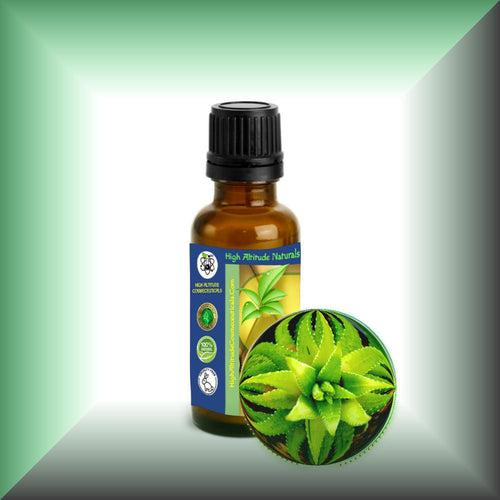 Aloe Vera Essential Oil (Aloe Barbadensis) Steam-Distilled