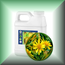 Arnica Essential Oil (Arnica Montana) for Bruises, Skin & Massage | ARNICAmfort - 16oz jug