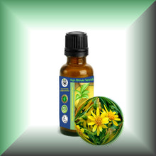 Arnica Essential Oil (Arnica Montana) for Bruises, Skin & Massage | ARNICAmfort - 1oz glass bottle
