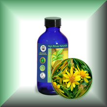 Arnica Essential Oil (Arnica Montana) for Bruises, Skin & Massage | ARNICAmfort - 4oz glass bottle