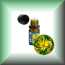 Arnica Essential Oil (Arnica Montana) for Bruises, Skin & Massage | ARNICAmfort - 5ml