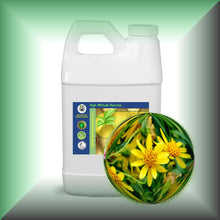 Arnica Essential Oil (Arnica Montana) for Bruises, Skin & Massage | ARNICAmfort - 64oz jug