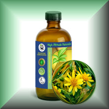 Arnica Essential Oil (Arnica Montana) for Bruises, Skin & Massage | ARNICAmfort - 8oz glass bottle
