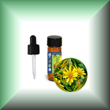 Arnica Essential Oil (Arnica Montana) for Bruises, Skin & Massage | ARNICAmfort - dram