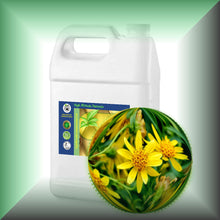 Arnica Essential Oil (Arnica Montana) for Bruises, Skin & Massage | ARNICAmfort - 1 gallon jug