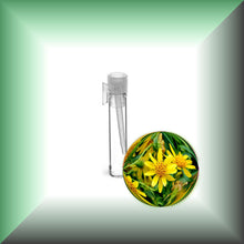 Arnica Essential Oil (Arnica Montana) for Bruises, Skin & Massage | ARNICAmfort - sample