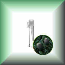 Cedarwood Essential Oil (Atlas, Cedrus atlantica) – Aromatherapy, Skin Care & Perfumery in a glass vial, sample size.