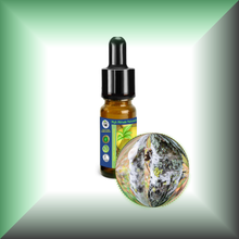 Birch Tar (Betula Alba) Absolute Essential Oil