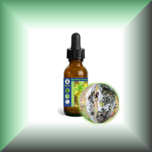 Birch Tar (Betula Alba) Absolute Essential Oil