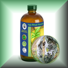 Birch Tar (Betula Alba) Absolute Essential Oil