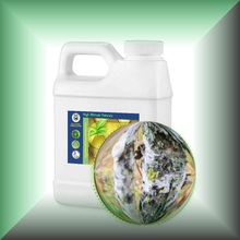 Birch Tar (Betula Alba) Absolute Essential Oil