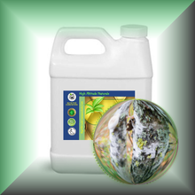 Birch Tar (Betula Alba) Absolute Essential Oil