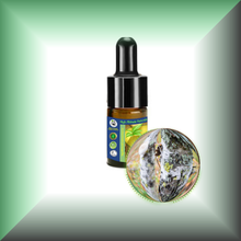 Birch Tar (Betula Alba) Absolute Essential Oil