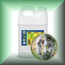 Birch Tar (Betula Alba) Absolute Essential Oil