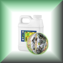 Birch Tar (Betula Alba) Absolute Essential Oil