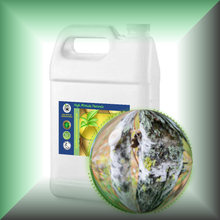 Birch Tar (Betula Alba) Absolute Essential Oil