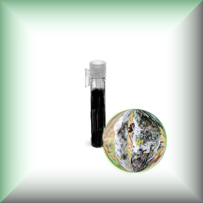Birch Tar (Betula Alba) Absolute Essential Oil